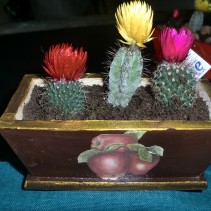 35