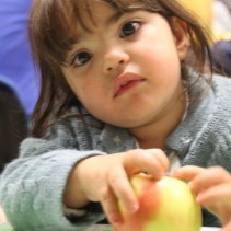 IMG_7678