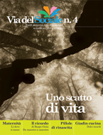 rivista via del sociale n4