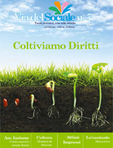 rivista via del sociale n7